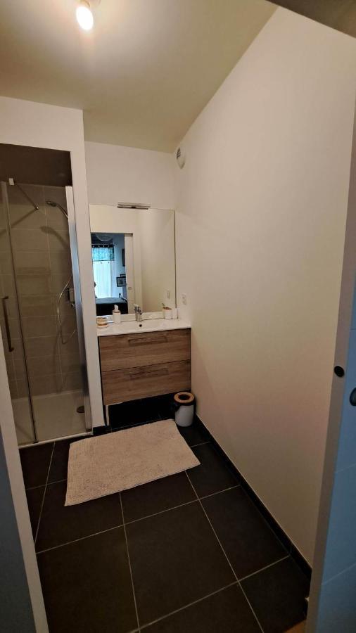 Joli Appartement Rdc T2 Tours Bagian luar foto